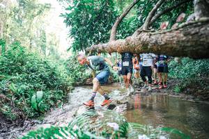 BIB: 
                            <button type="button" onclick="openModal(25476065)" class="btn btn-primary btn-sm float-right btn-popup" data-toggle="modal" data-target=".modal-high-quality">
                        <i class="fas fa-shopping-cart"></i> Add to Cart
                    </button>
                                            <button type="button" onclick="isThisMe(25476065, true)" class="btn btn-success btn-sm float-right btn-popup btn-isme hidden" data-toggle="tooltip" data-placement="bottom" title="นี่คือรูปของคุณใช่ไหม คลิกที่นี่เพื่อเอาเข้าอัลบั้ม">
                        <i class="fas fa-plus"></i> Add to album
                    </button>
                    <button type="button" onclick="isThisMe(25476065, false)" class="btn btn-warning btn-sm float-right btn-popup btn-isnotme hidden">
                        <i class="fas fa-ban"></i> Remove from album
                    </button>